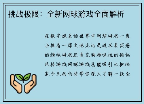 挑战极限：全新网球游戏全面解析